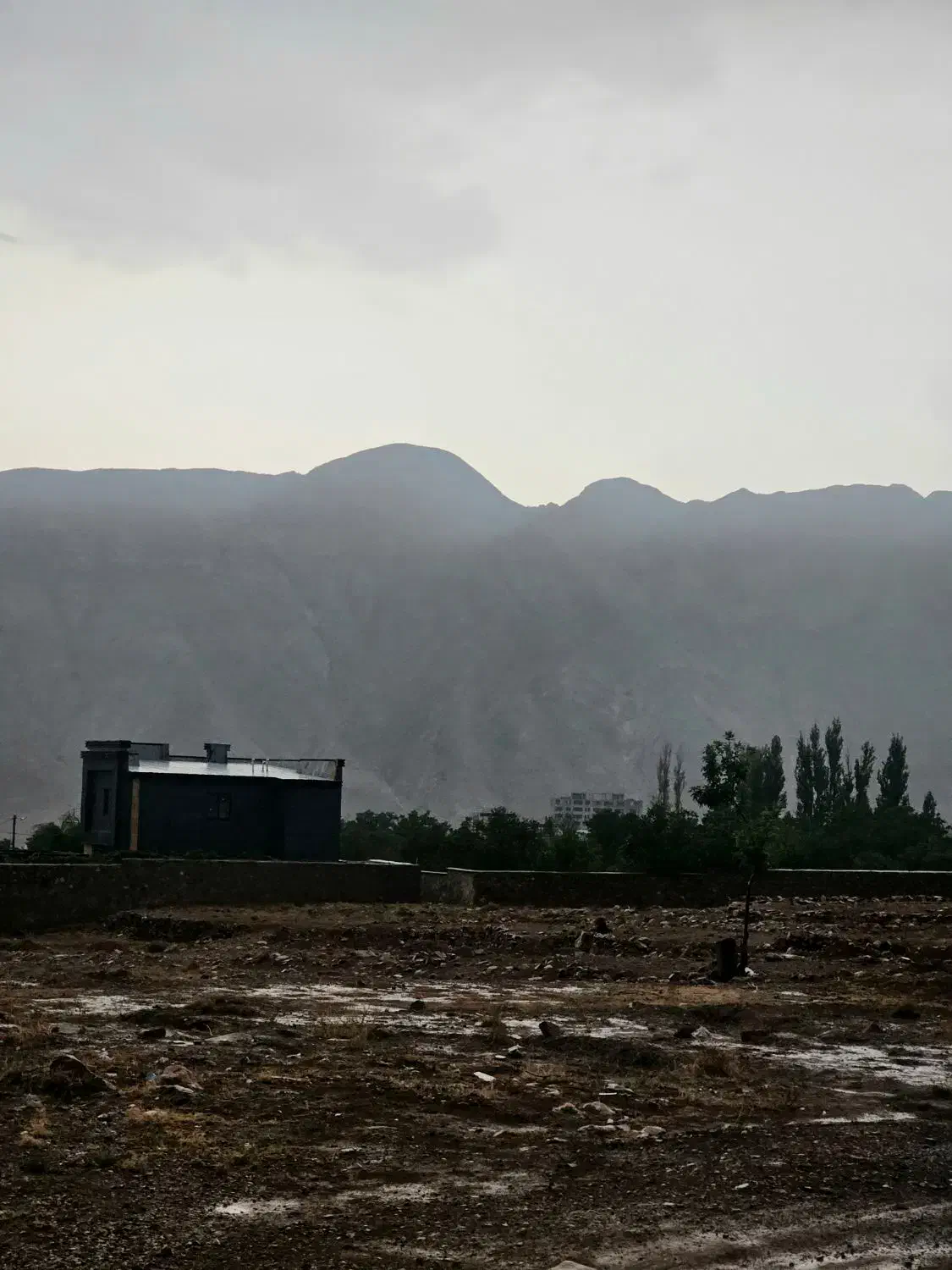 شهمیرزاد زمین ویلایی منطقه پشته( معاوضه )|فروش زمین و ملک کلنگی|شهمیرزاد, |دیوار