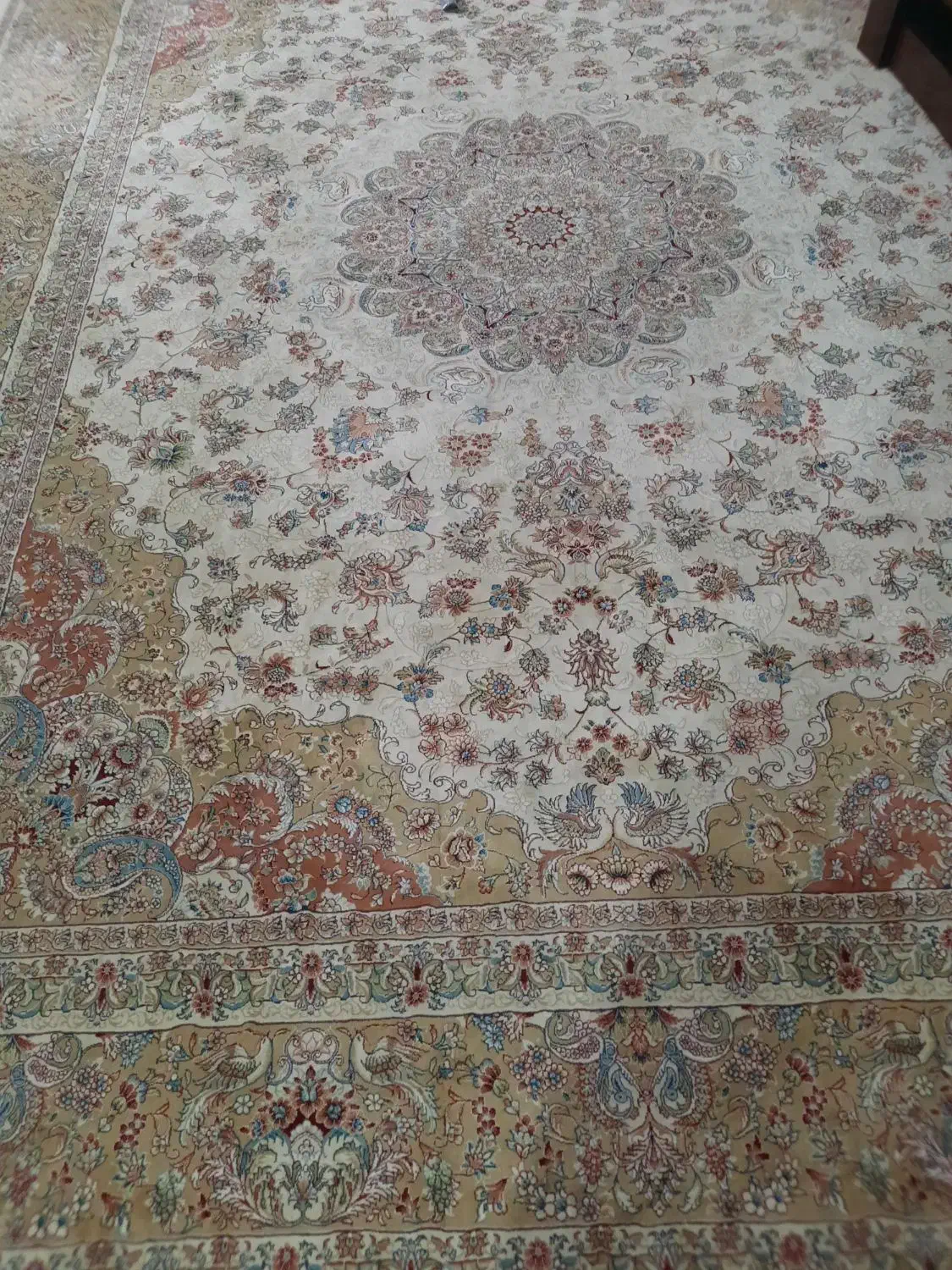 فرش ۱۲ متری|فرش|نیشابور, ابراهیمی|دیوار