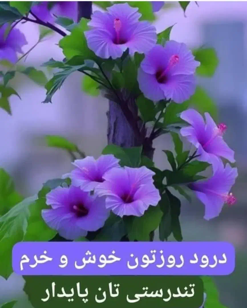 مشاوره/ تدریس تقویتی و کنکوری تضمینی|خدمات آموزشی|تهران, شهرک دانشگاه|دیوار