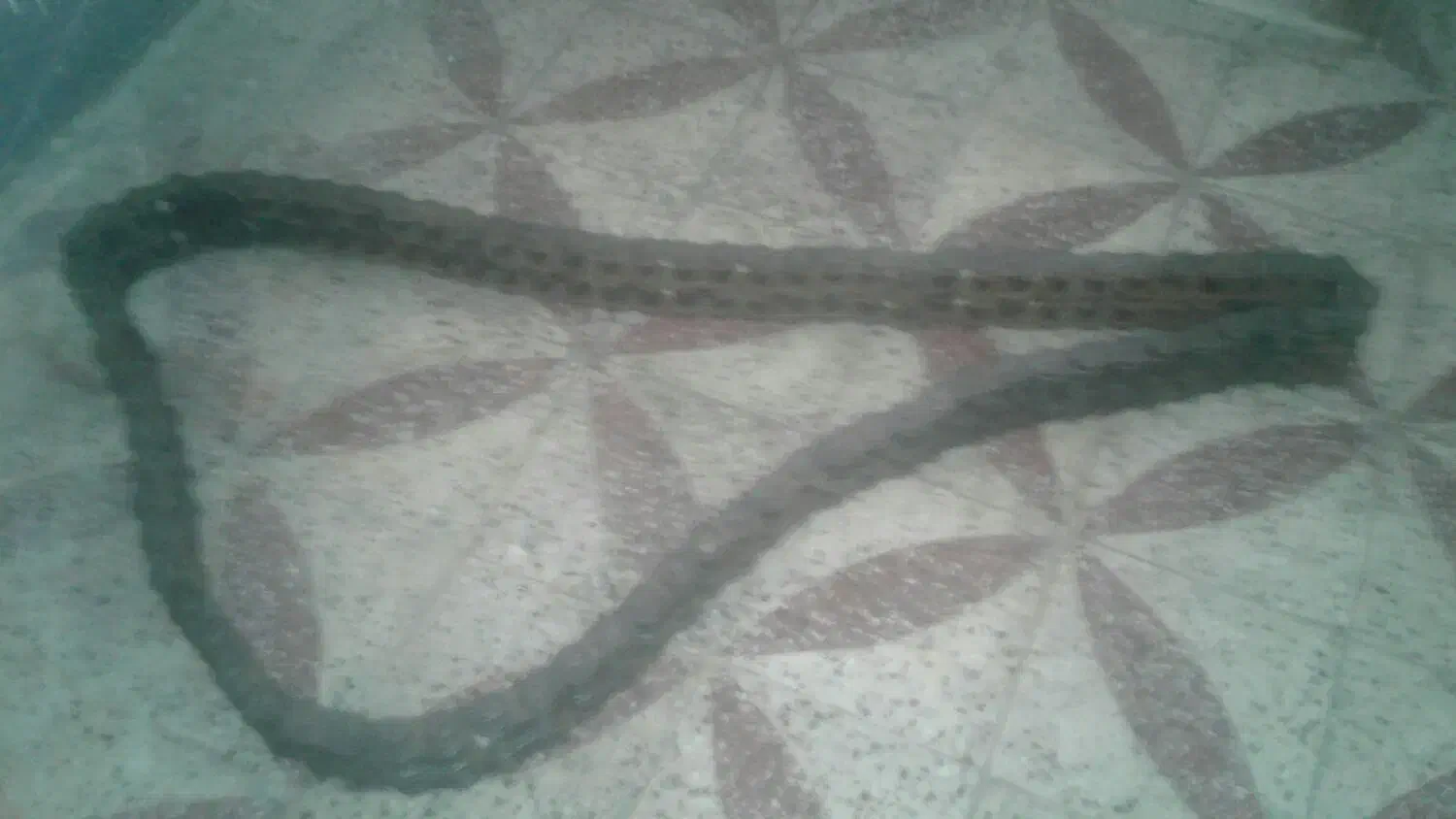 زنجیردوبل صنعتی|ابزارآلات|دزفول, |دیوار