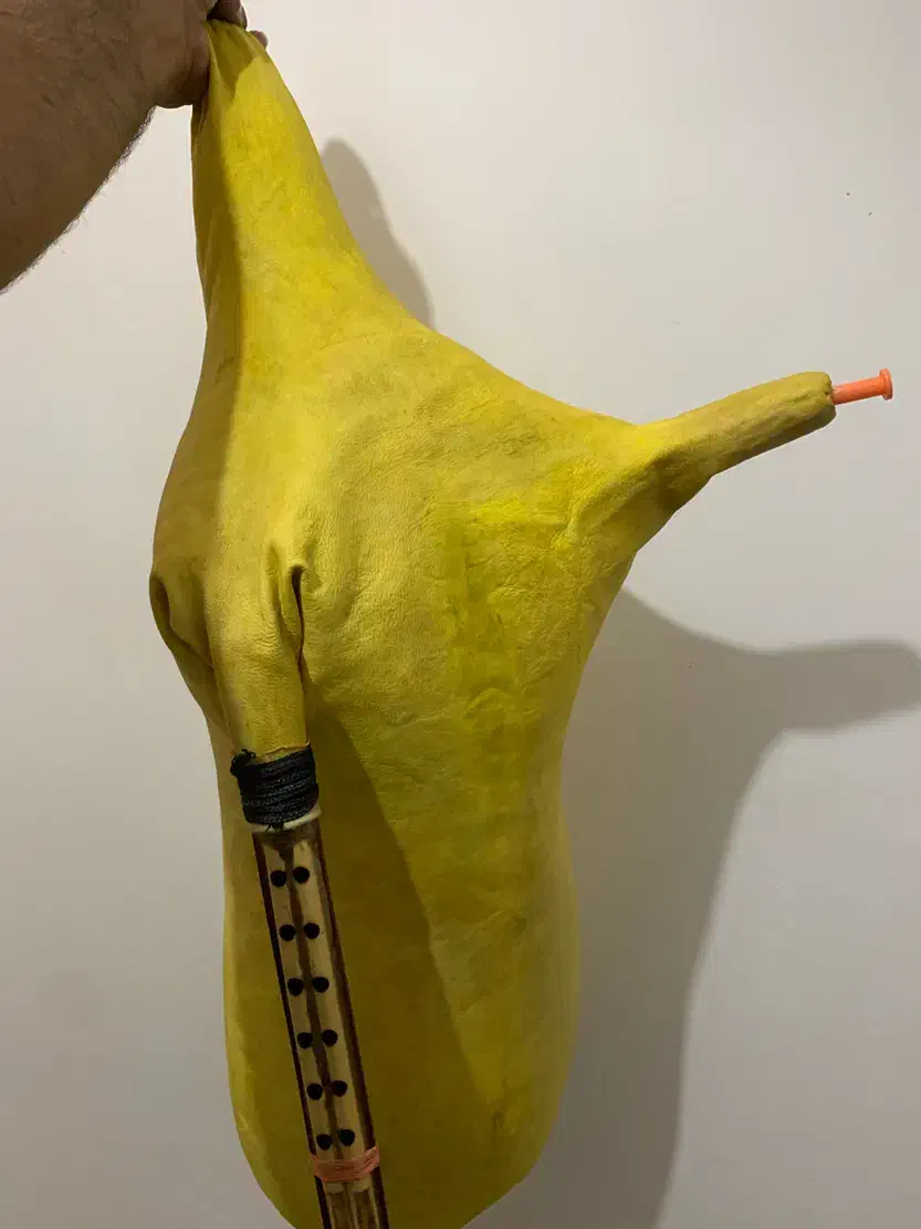 نی انبان حرفه ای پوست چرم|سازهای بادی|بندرعباس, |دیوار