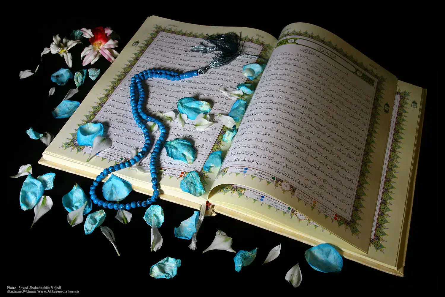 قرآن کریم|فعالیت داوطلبانه|قم, میدان نو|دیوار