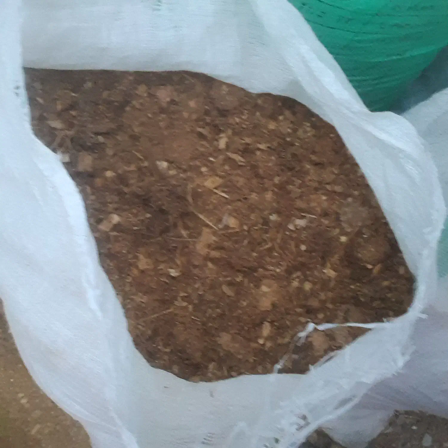 کودمرغی مخلوط خاک اره سیاه|گل و گیاه طبیعی|بندر ترکمن, |دیوار