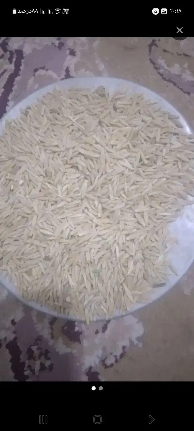 جو دیم|لوازم جانبی حیوانات|تویسرکان, |دیوار