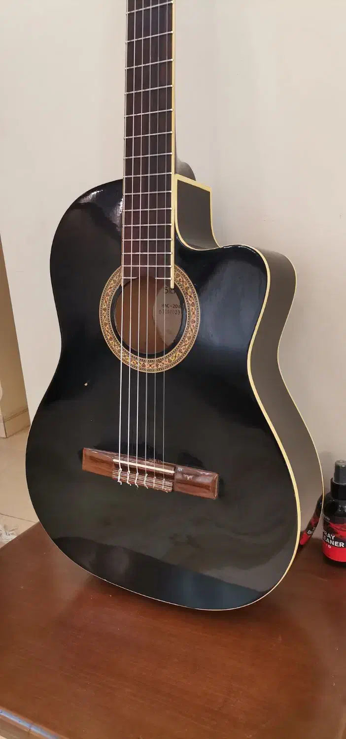 گیتار کلاسیک هافنر پیکاپ دار|گیتار، بیس، امپلیفایر|تهران, میدان ولیعصر|دیوار