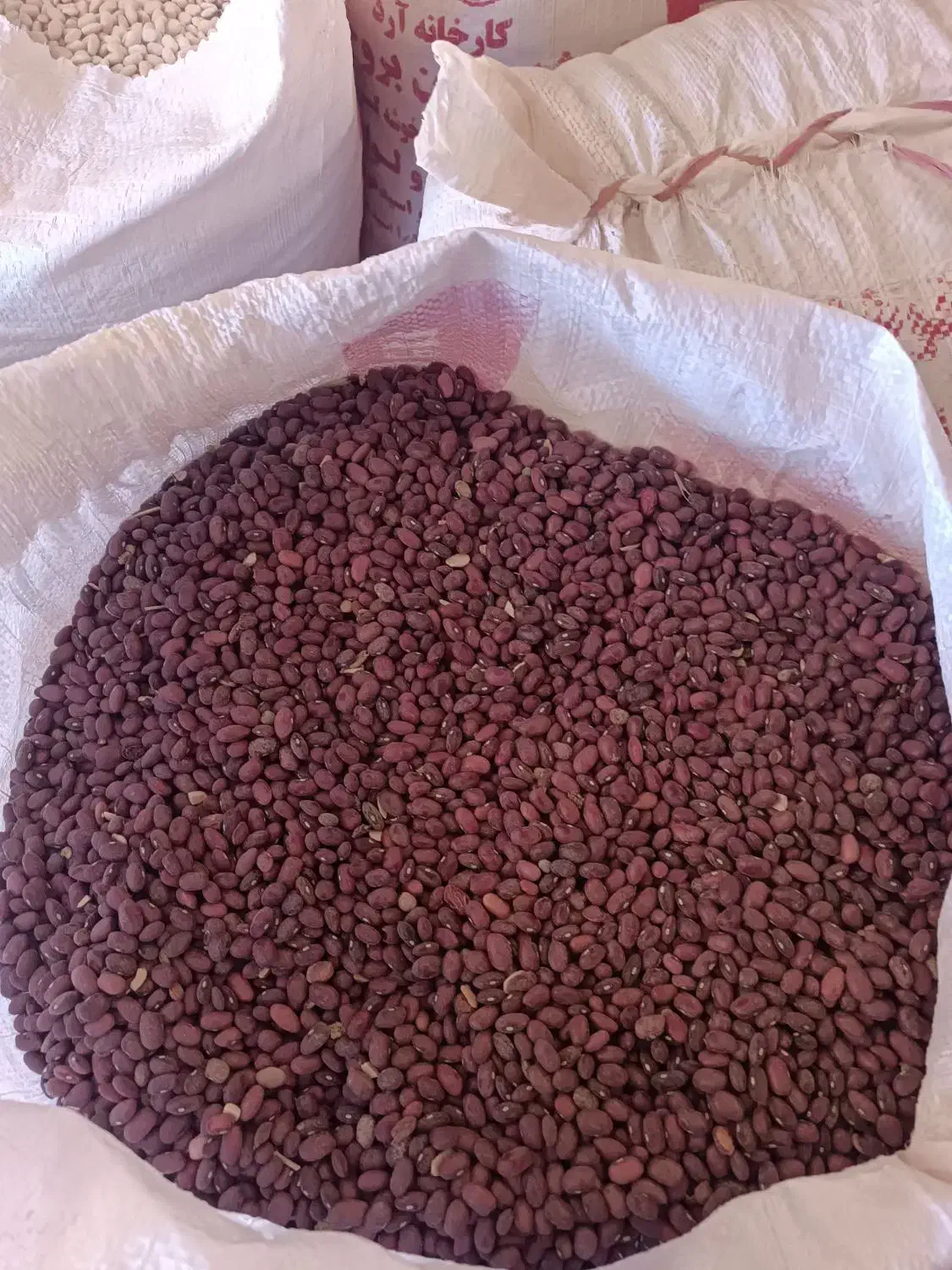 لوبیا قرمز درجه یک|خوردنی و آشامیدنی|کیار, |دیوار
