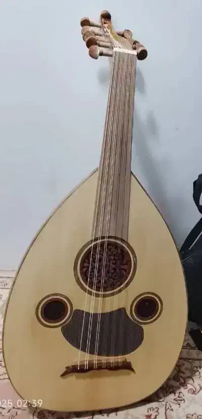 عود|سازهای سنتی|بندرعباس, |دیوار