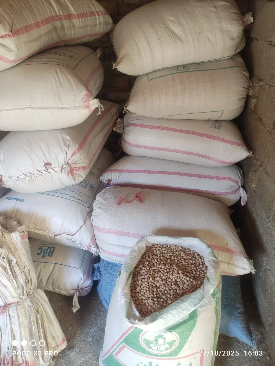 نخود درجه یک برای تخم|عمده‌فروشی|خزل, |دیوار