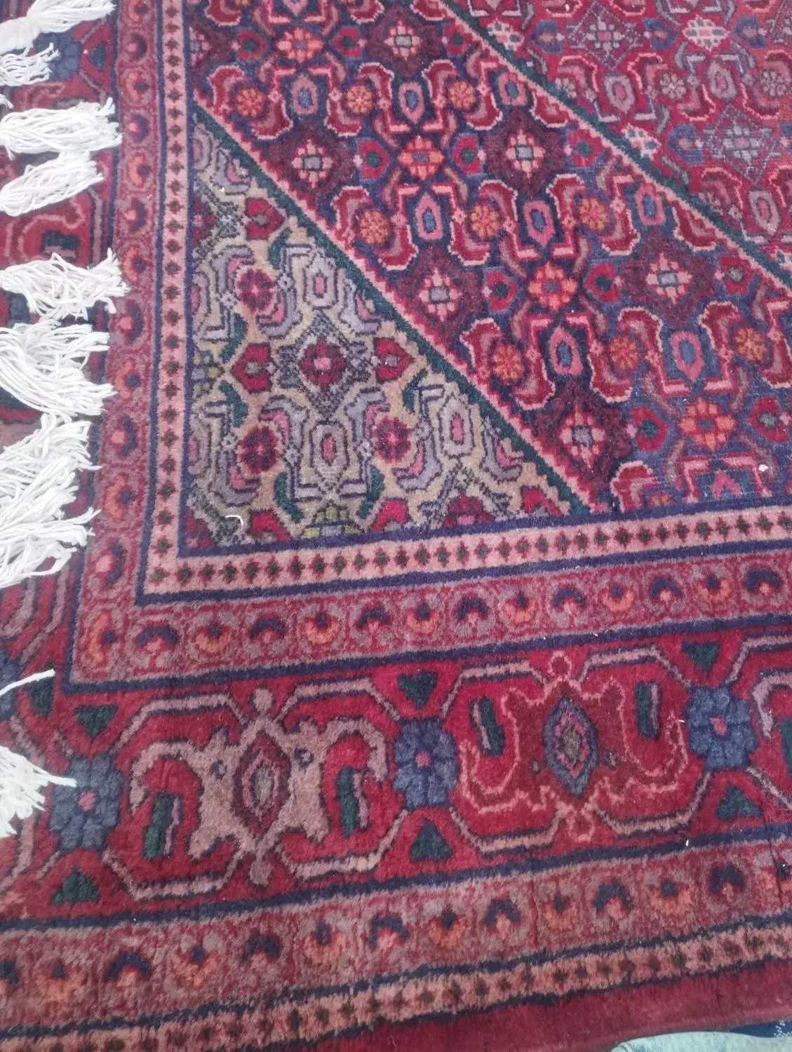 فرش دستباف|فرش|زنجان, |دیوار