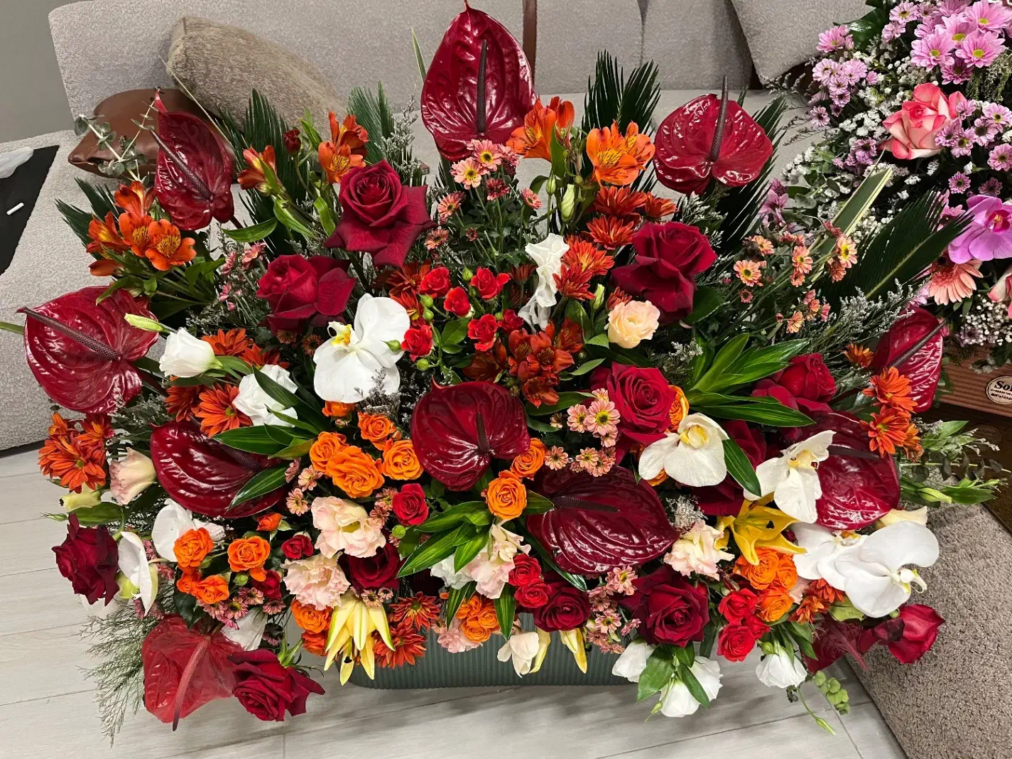 سبد گل|گل و گیاه طبیعی|کیش, |دیوار