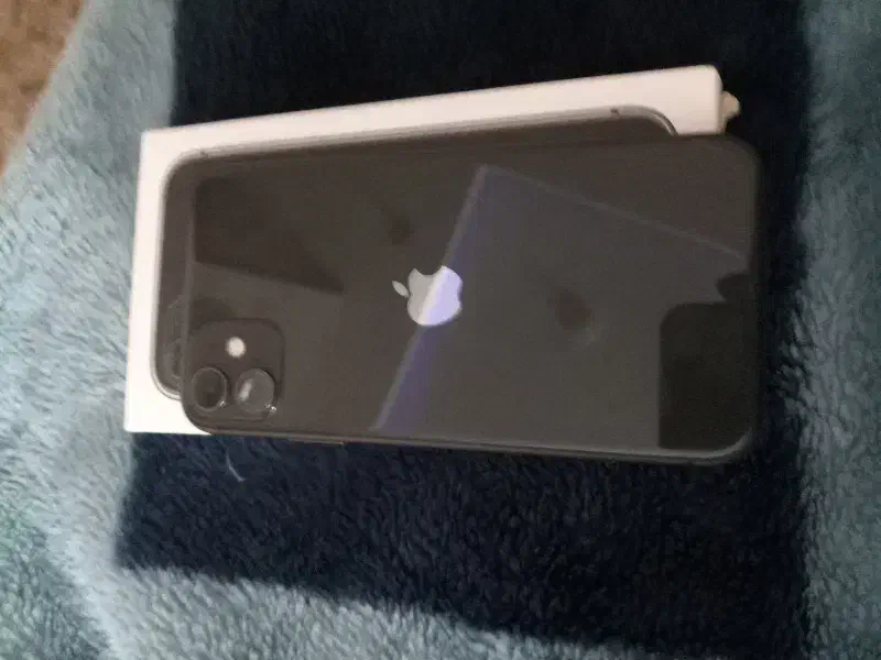 ایفون ۱۱ نرمال|موبایل|تهران, سعادت‌آباد|دیوار