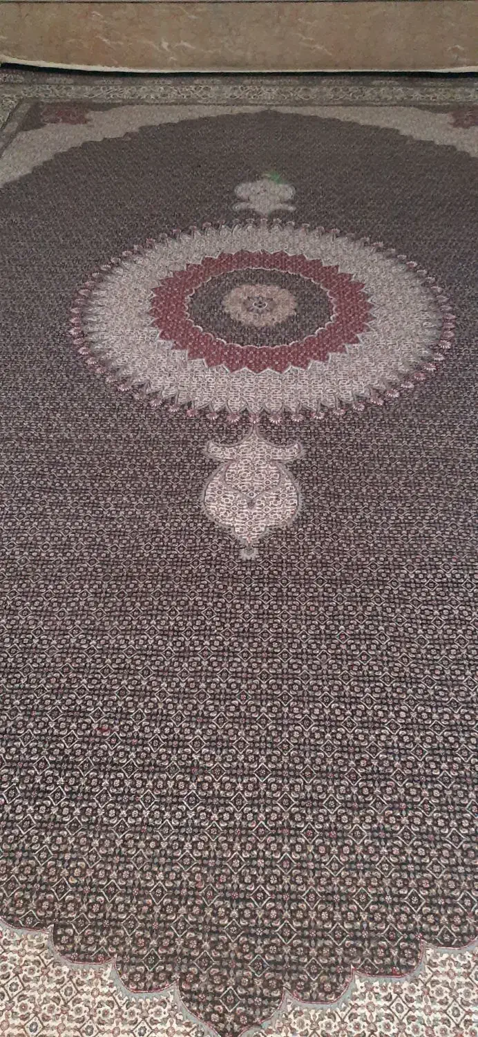 فرش دستباف ۲۴متری بی نظیر|فرش|بیرجند, |دیوار