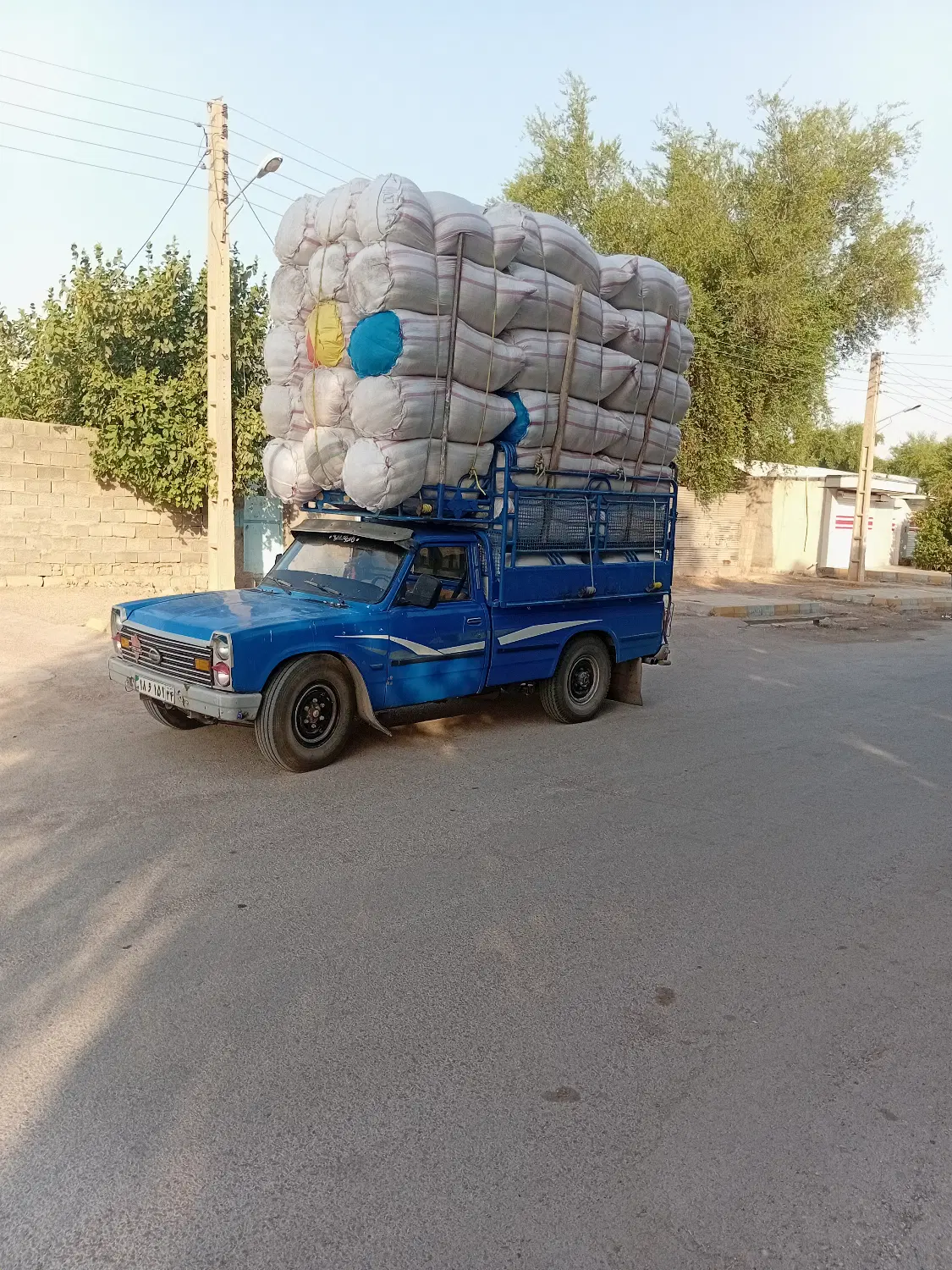 کاه|لوازم جانبی حیوانات|مسجد سلیمان, |دیوار