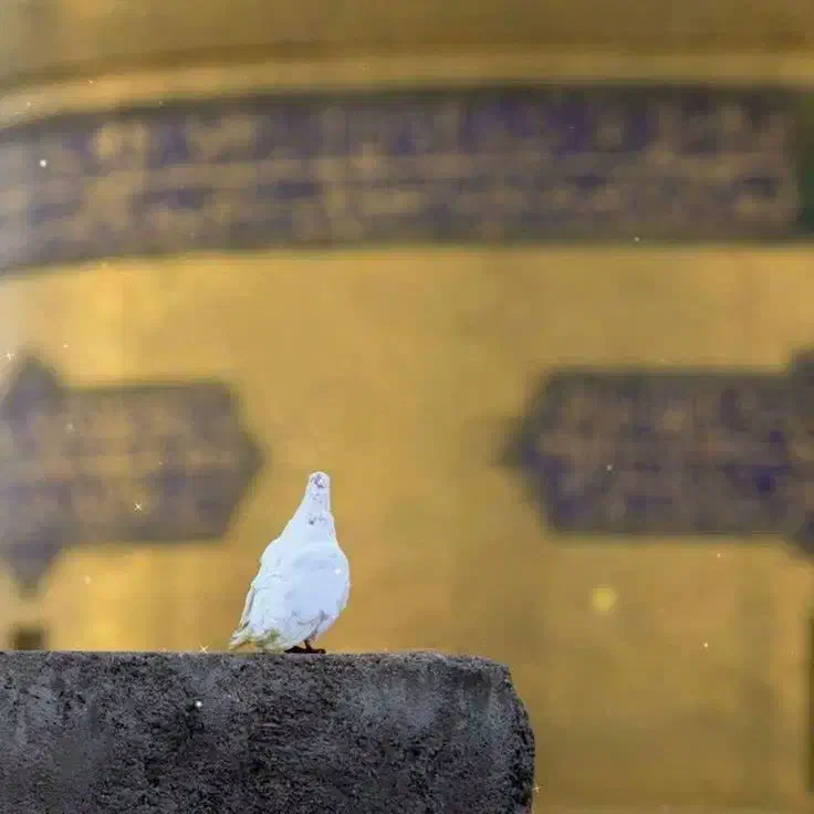 النگو طلا گمشده|اشیا|همدان, |دیوار