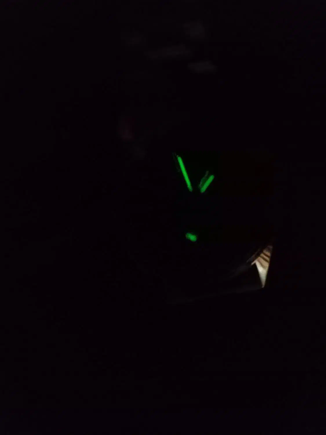 ساعت مچی سیکو قدیمی|ساعت|تهران, طیب|دیوار