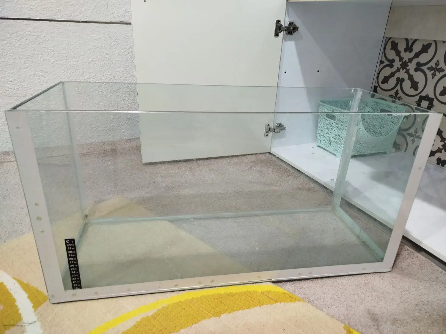 اکواریوم|ماهی|ایلام, |دیوار