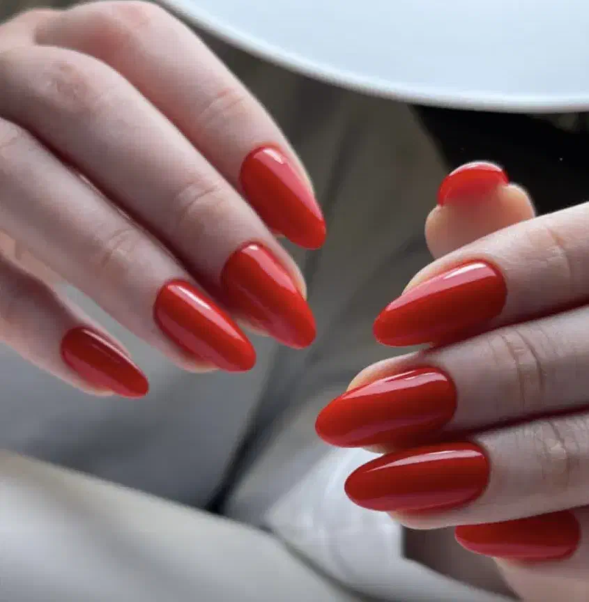 آموزش تخصصی ناخن|خدمات آموزشی|مشهد, موسوی قوچانی|دیوار