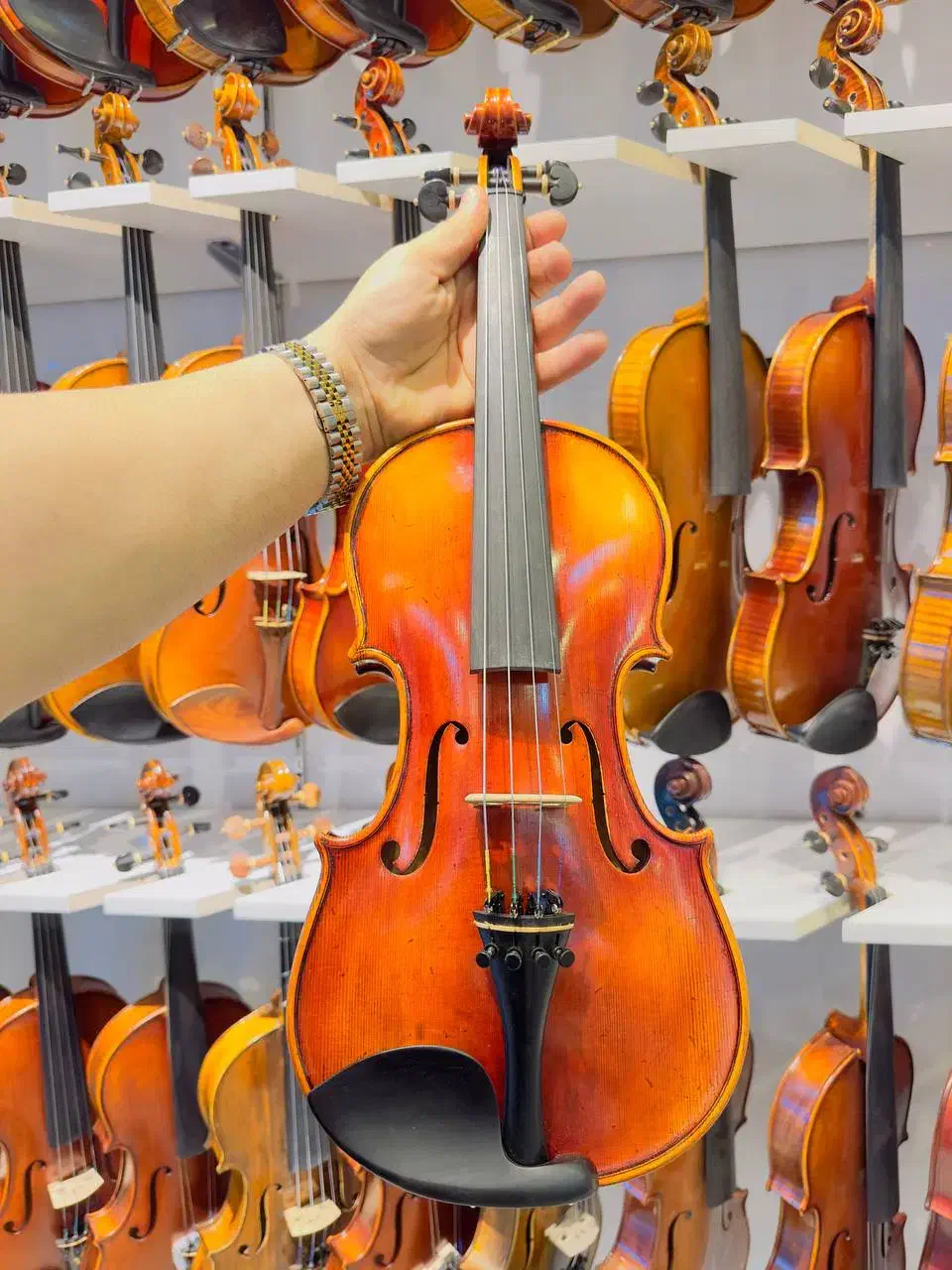 تعویض ویولن|ویولن|شیراز, شهرک قمشه|دیوار