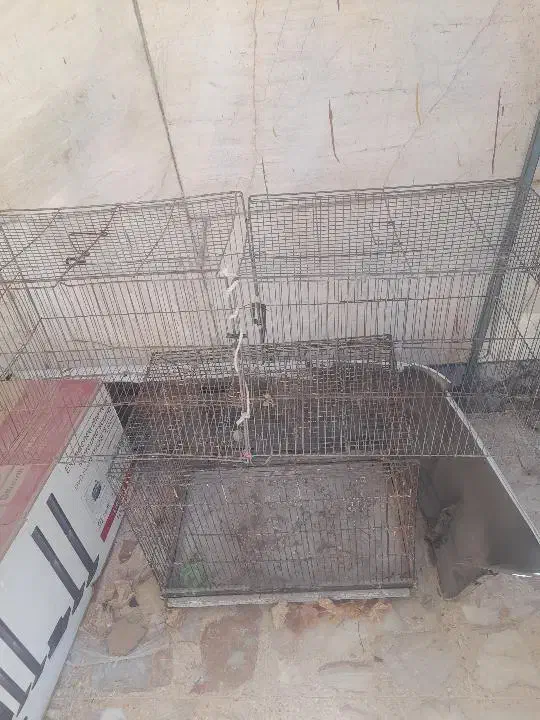 دوتا قفس بزرگ برای پرنده و مرغ سگ گربه|لوازم جانبی حیوانات|شیراز, وزیرآباد|دیوار