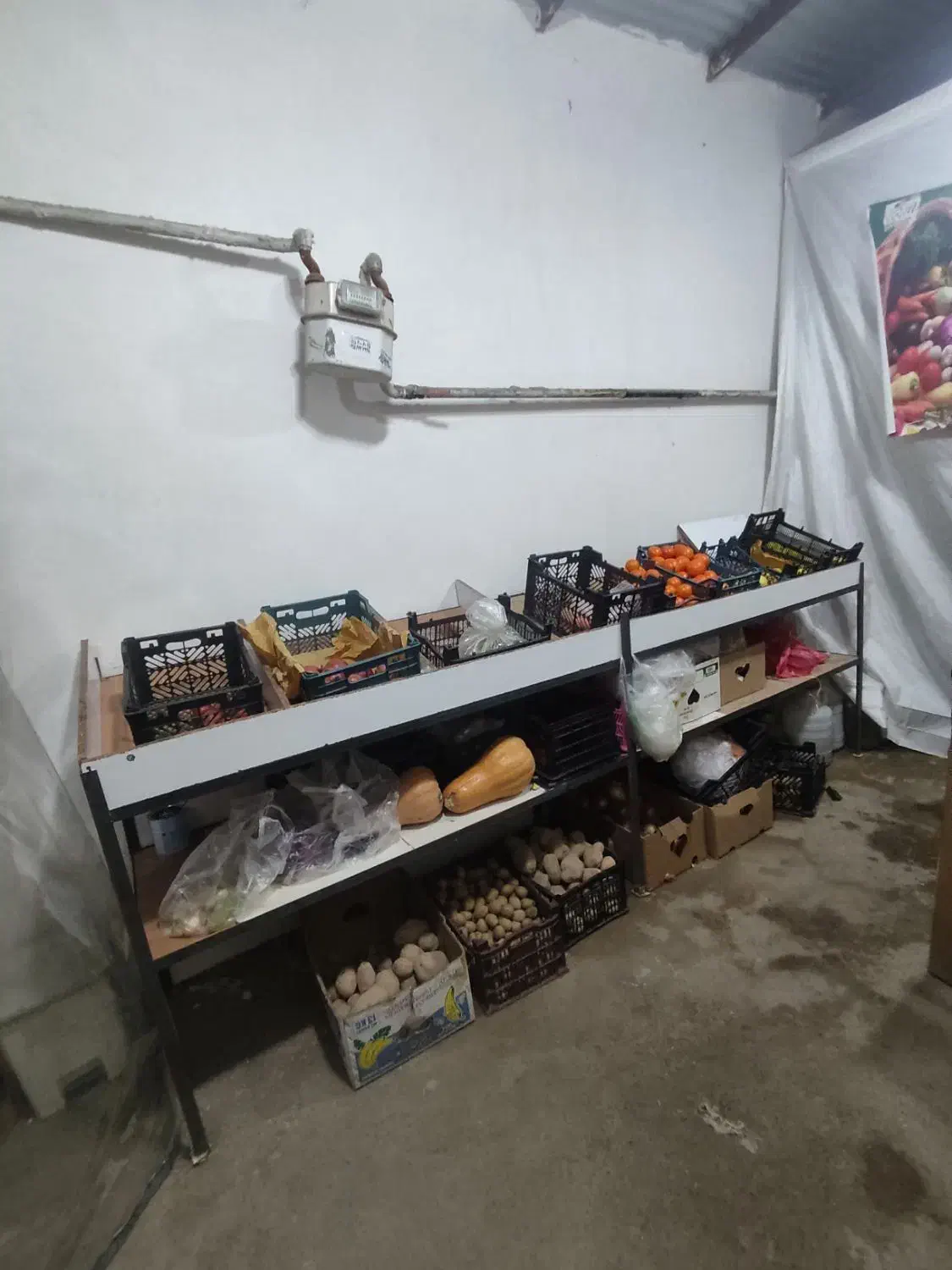 میز میوه فروشی|فروشگاه و مغازه|مشهد, کشف|دیوار