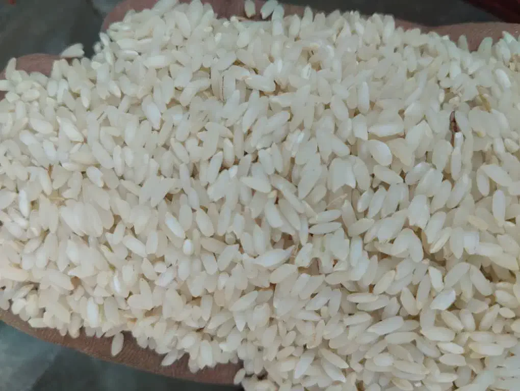 برنج عنبربو|خوردنی و آشامیدنی|ایذه, |دیوار