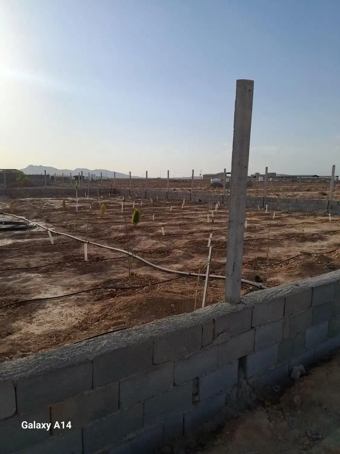 فروش ویژه زمین باغ اقساط۳۰ماهه سندتک‌برگ شاهین‌شهر|فروش زمین و ملک کلنگی|اصفهان, دشتستان|دیوار