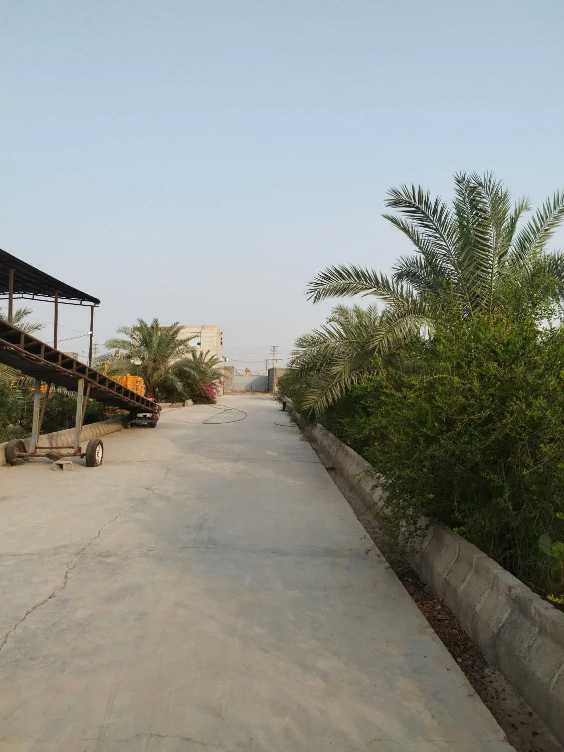 رهن و اجاره سوله ۱۶۰۰ متری و ۲۰۰۰ متری|اجارهٔ دفتر صنعتی، کشاورزی، تجاری|اهواز, فدک|دیوار