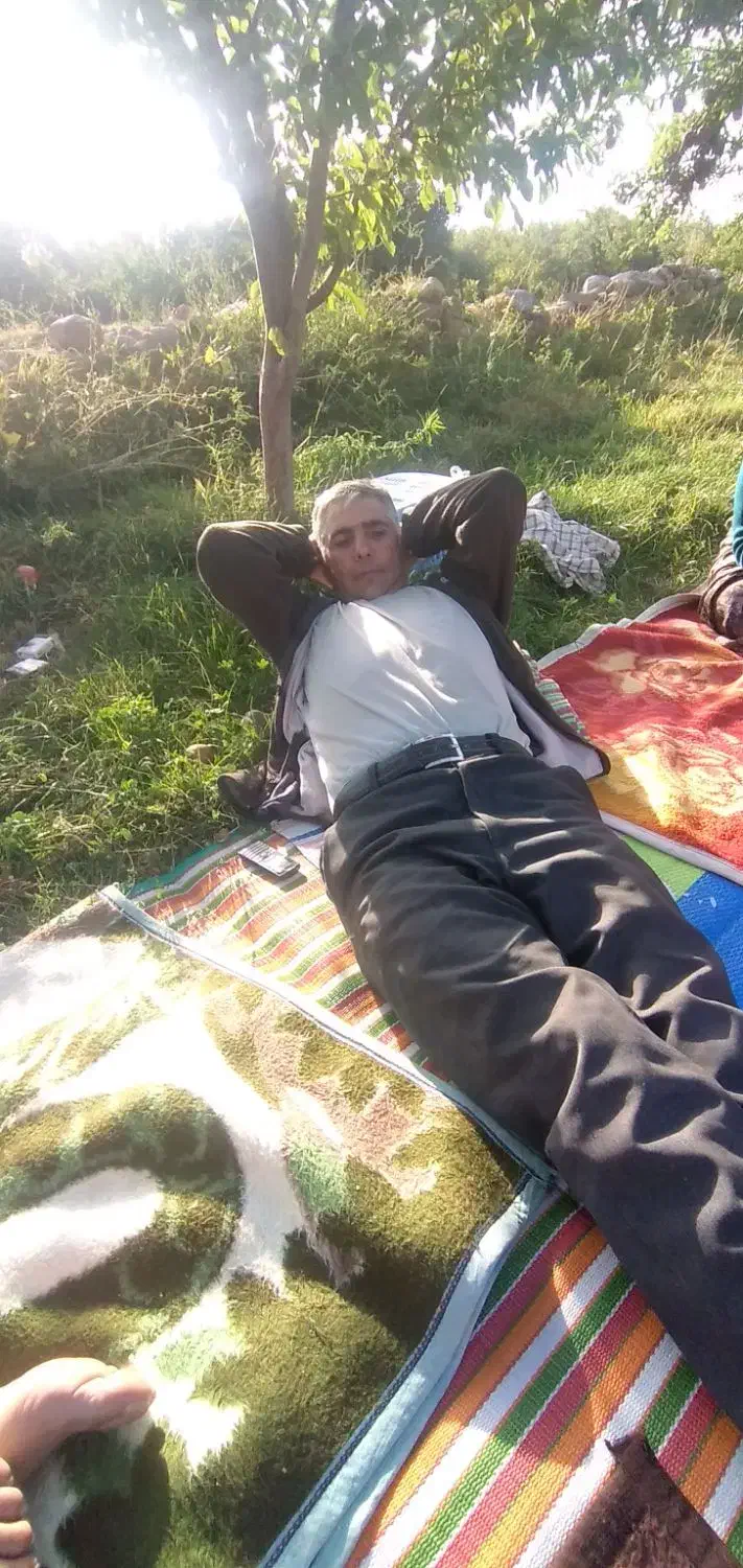 زمین|خدمات باغبانی و درختکاری|باسمنج, |دیوار