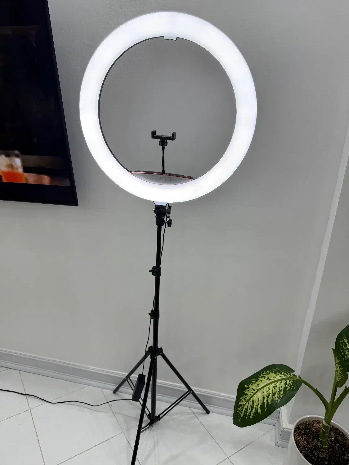 رینگ لایت + پایه ۲.۵ متری|دوربین عکاسی و فیلم‌برداری|مشهد, رضاشهر|دیوار