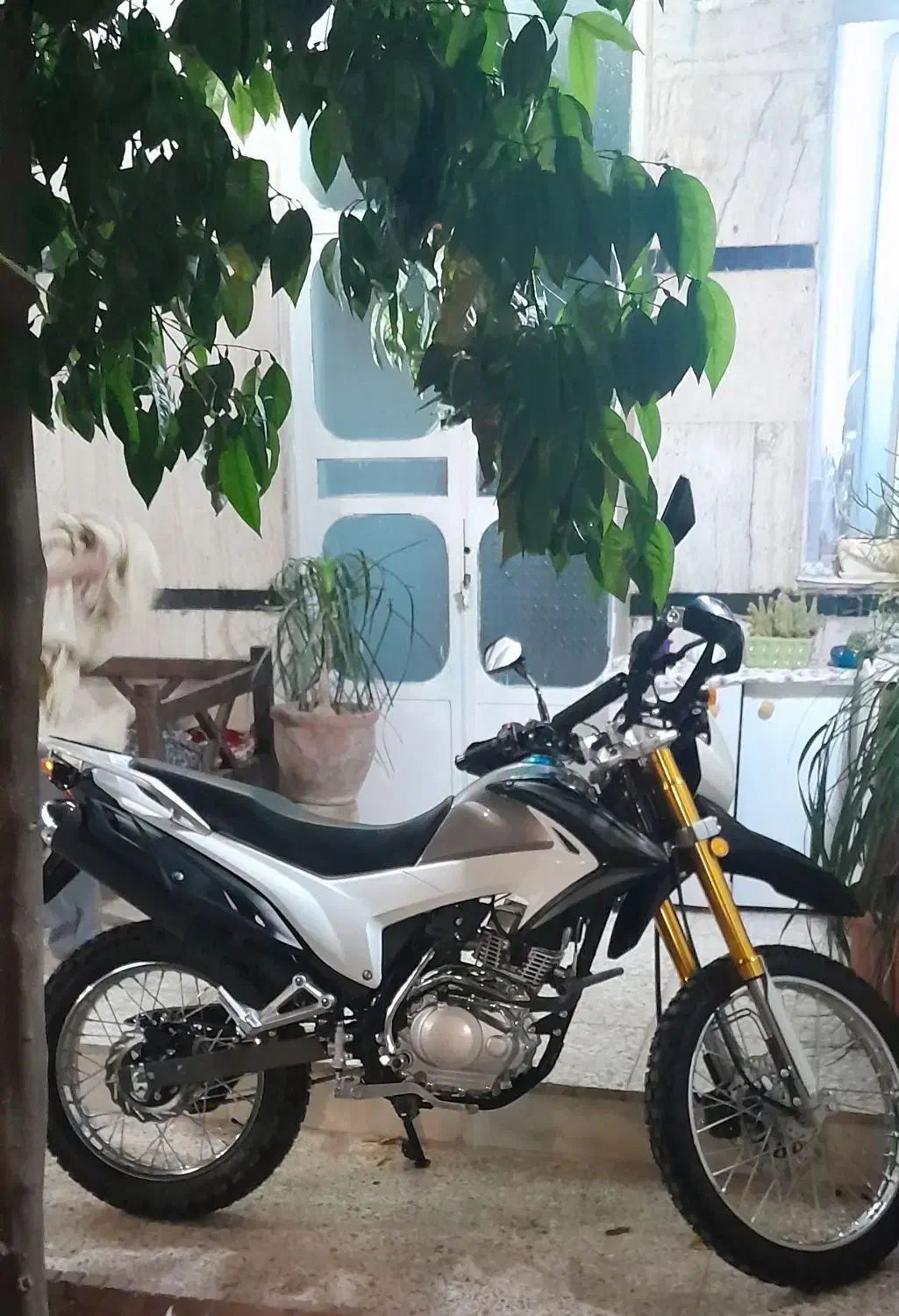 موتور پرواز 200|موتورسیکلت|شیراز, داریون|دیوار