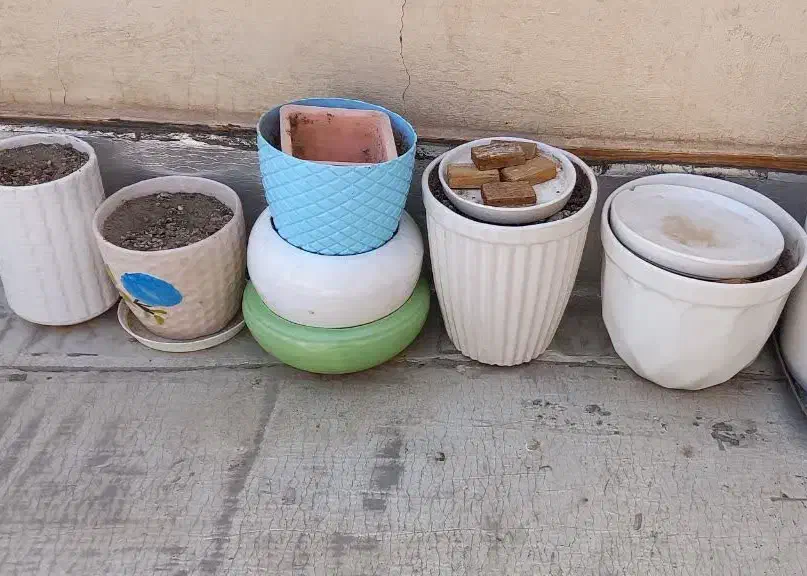 گلدان سفال|گل و گیاه طبیعی|قم, مهدیه|دیوار