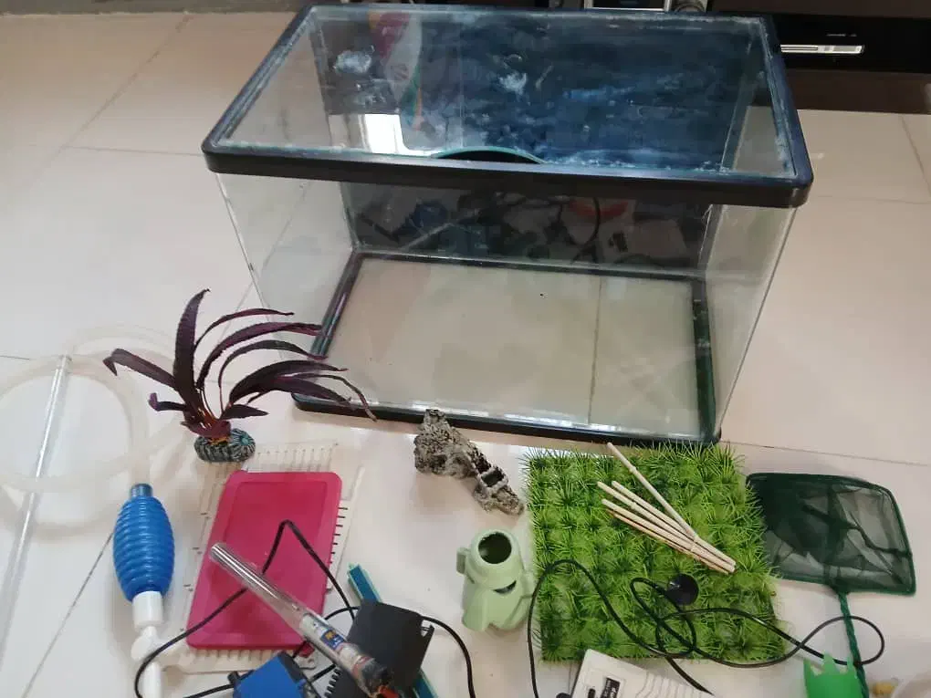 آکواریوم|ماهی|کرج, کلاک نو|دیوار