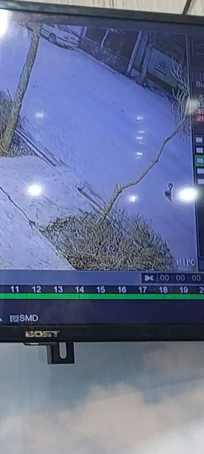 کوله پشتی|اشیا|بجنورد, |دیوار