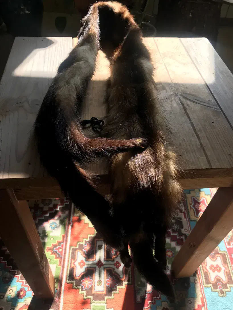 شال تزیینی|لباس|تهران, مینی‌سیتی (شهرک نفت)|دیوار