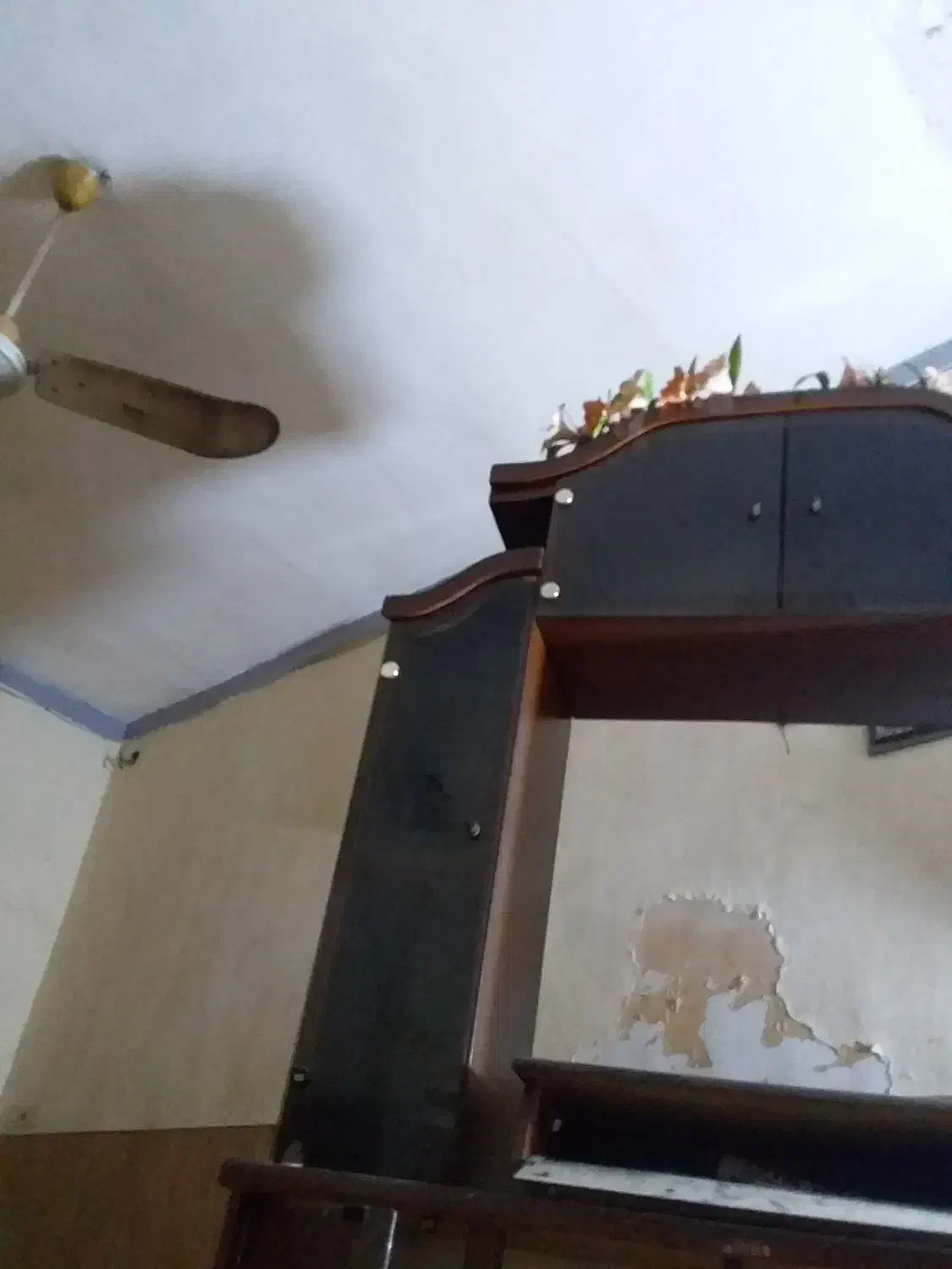 نیز تلویزیون|تلویزیون و پروژکتور|بندرعباس, |دیوار