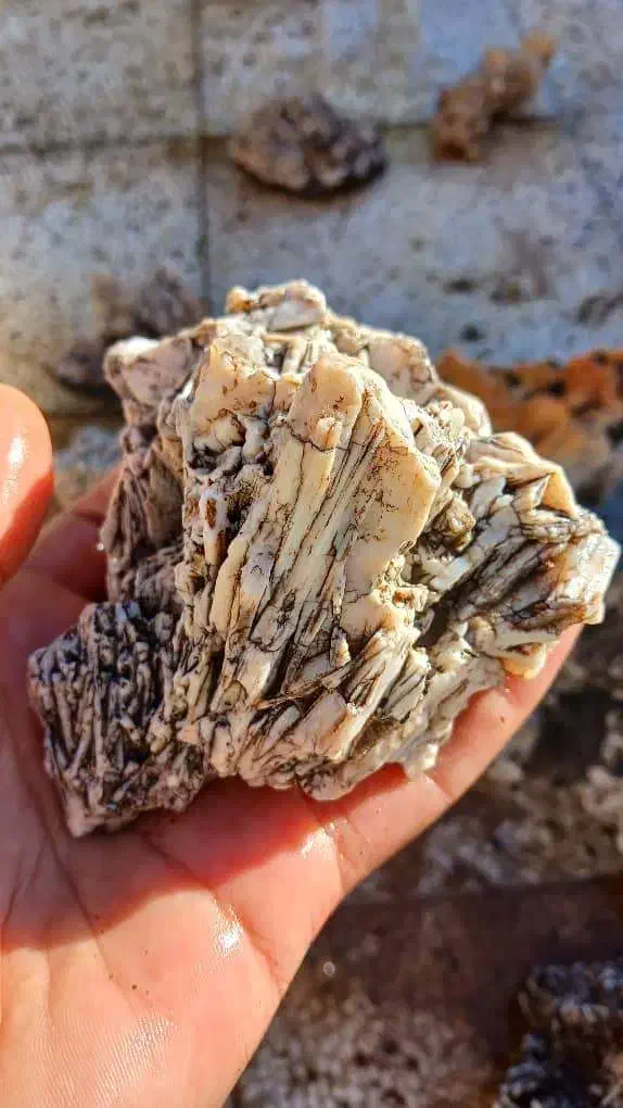 سنگ ناترولیت کلسدونی صادراتی.با خرما معاوضه|جواهرات|بوشهر, |دیوار