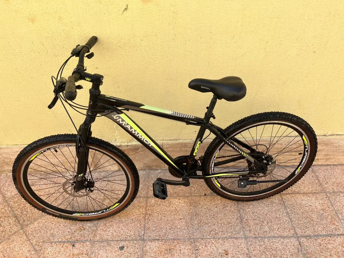 دوچرخه|دوچرخه، اسکیت، اسکوتر|کیش, |دیوار