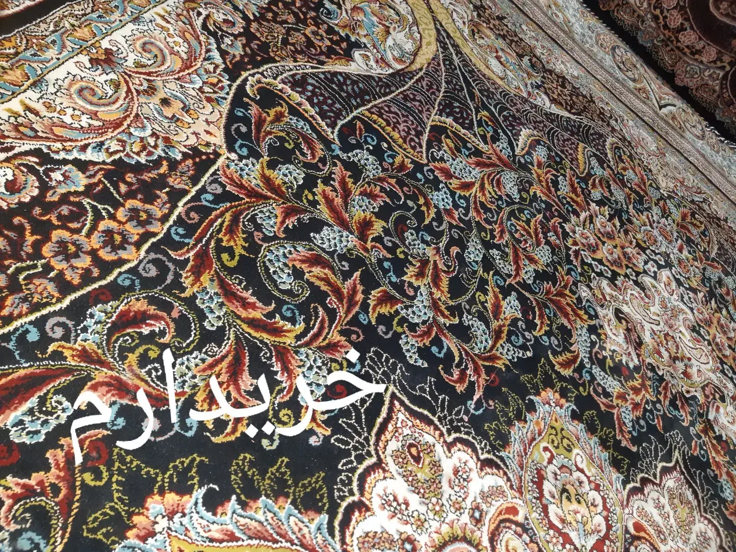 ۱۲متری|فرش|کرمانشاه, |دیوار