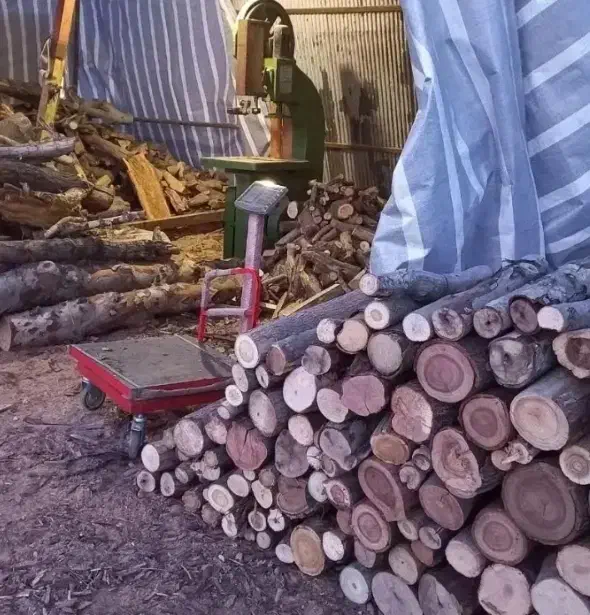 خریدار چوب تر و خشک|خدمات باغبانی و درختکاری|قیدار, |دیوار