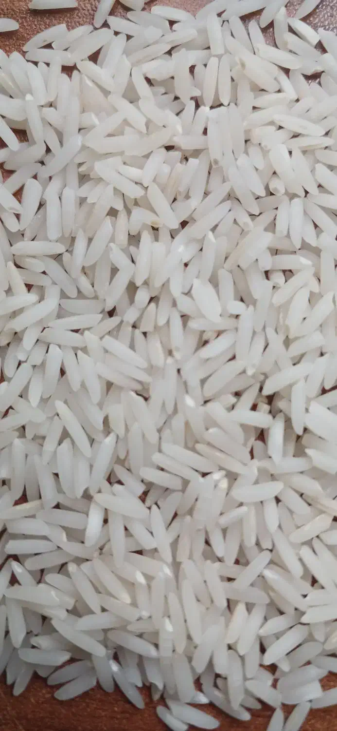 فروش برنج دمسیاه|خوردنی و آشامیدنی|آستانه اشرفیه, |دیوار