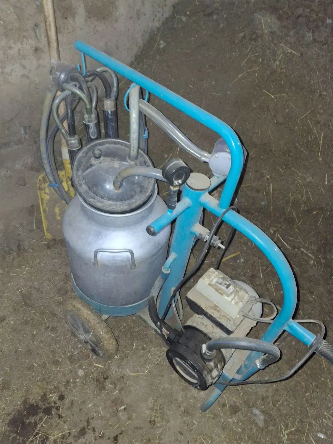 فروش شیر دوش درحده صفر|لوازم جانبی حیوانات|نقده, |دیوار