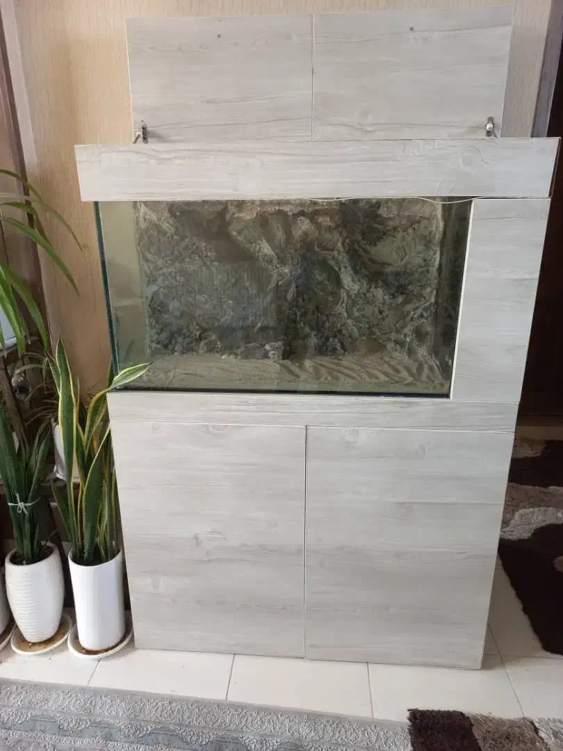 فروش اکواریوم|ماهی|شیراز, آبیاری|دیوار