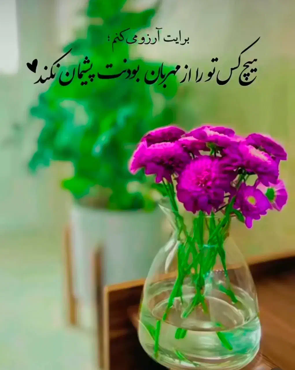 گمشده ها|اشیا|رشت, شهرک صبا|دیوار