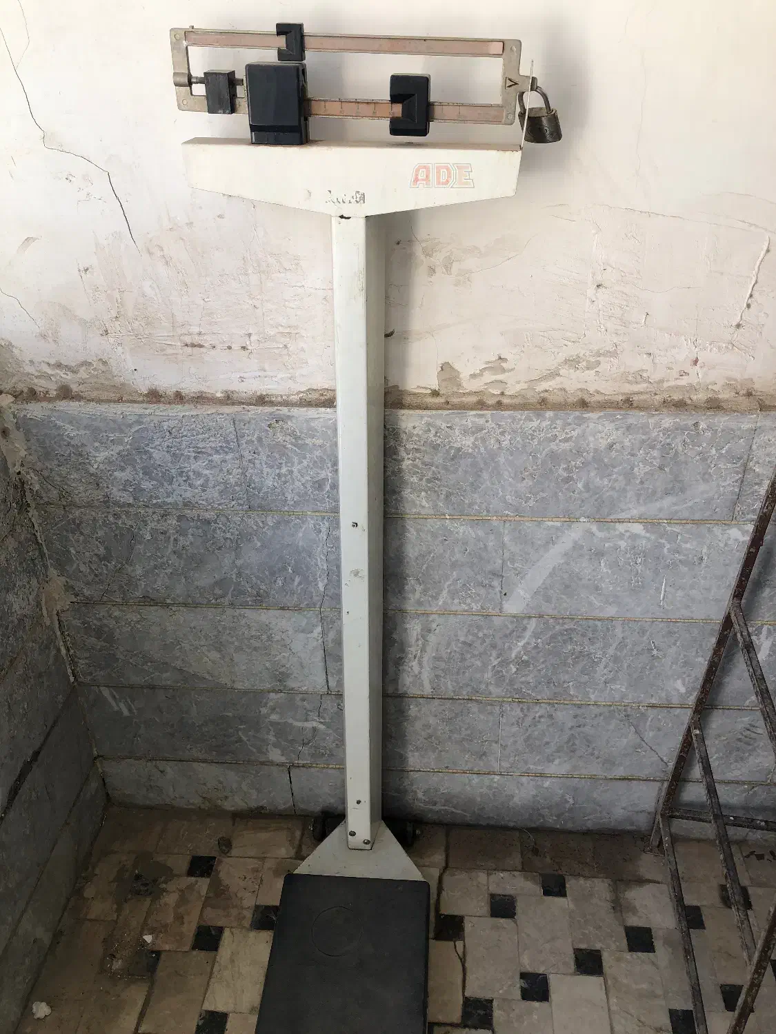 ترازو|فروشگاه و مغازه|یزد, |دیوار