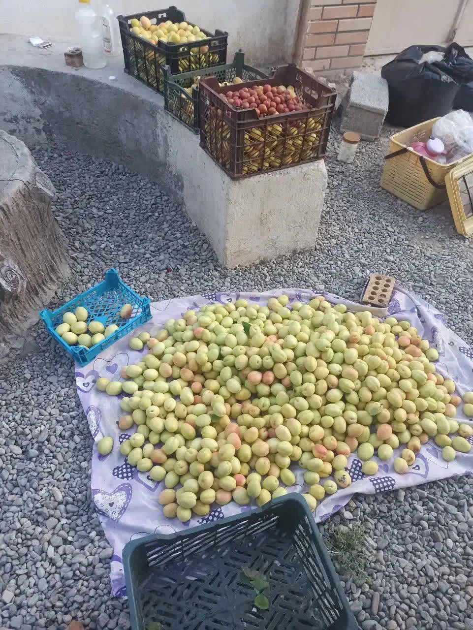 اجاره چهاردیواری|اجارهٔ خانه و ویلا|اصفهان, قهجاورستان|دیوار