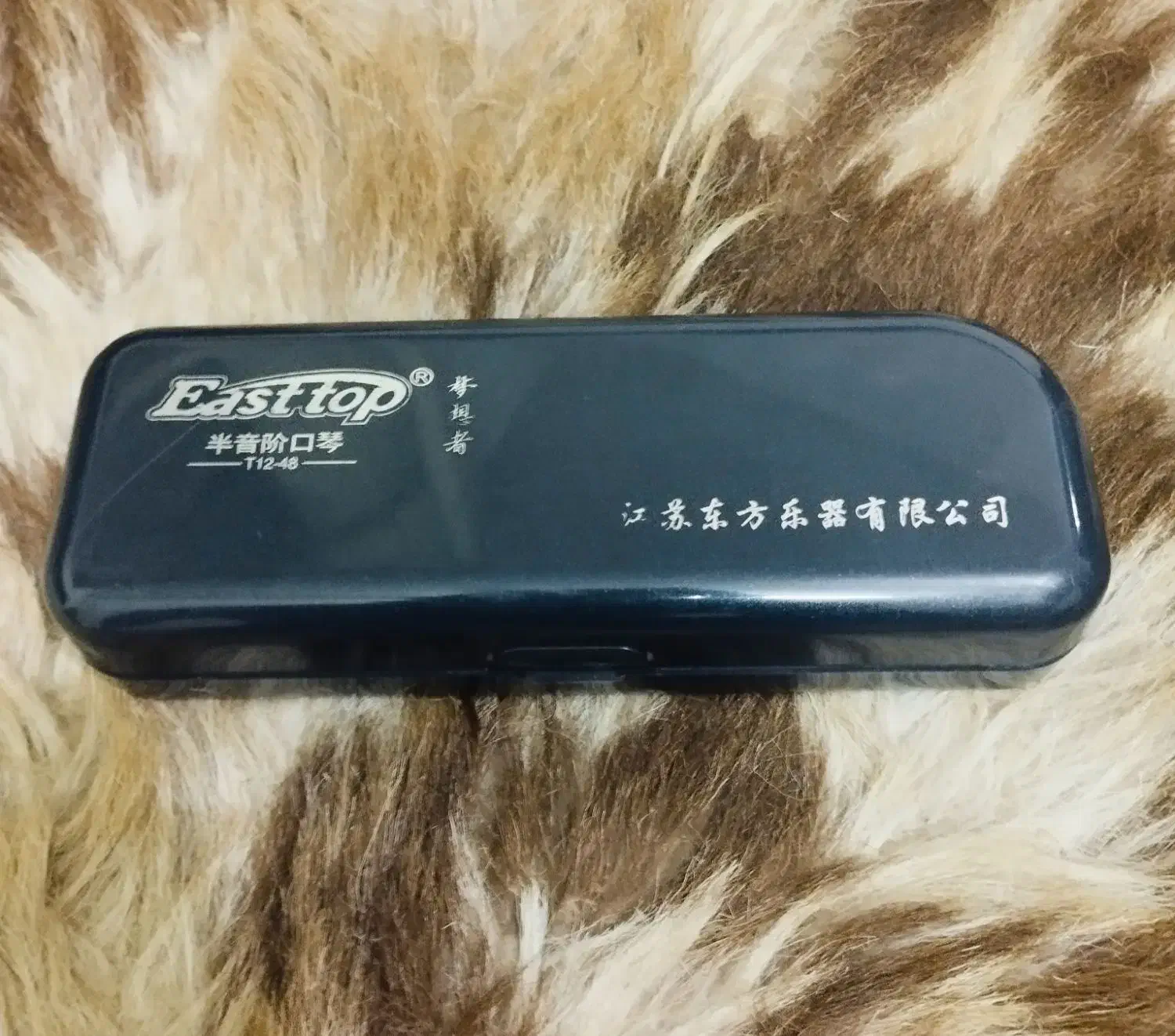 ساز دهنی ،ساز بادی|سازهای بادی|نجف‌آباد, منتظری شمالی|دیوار