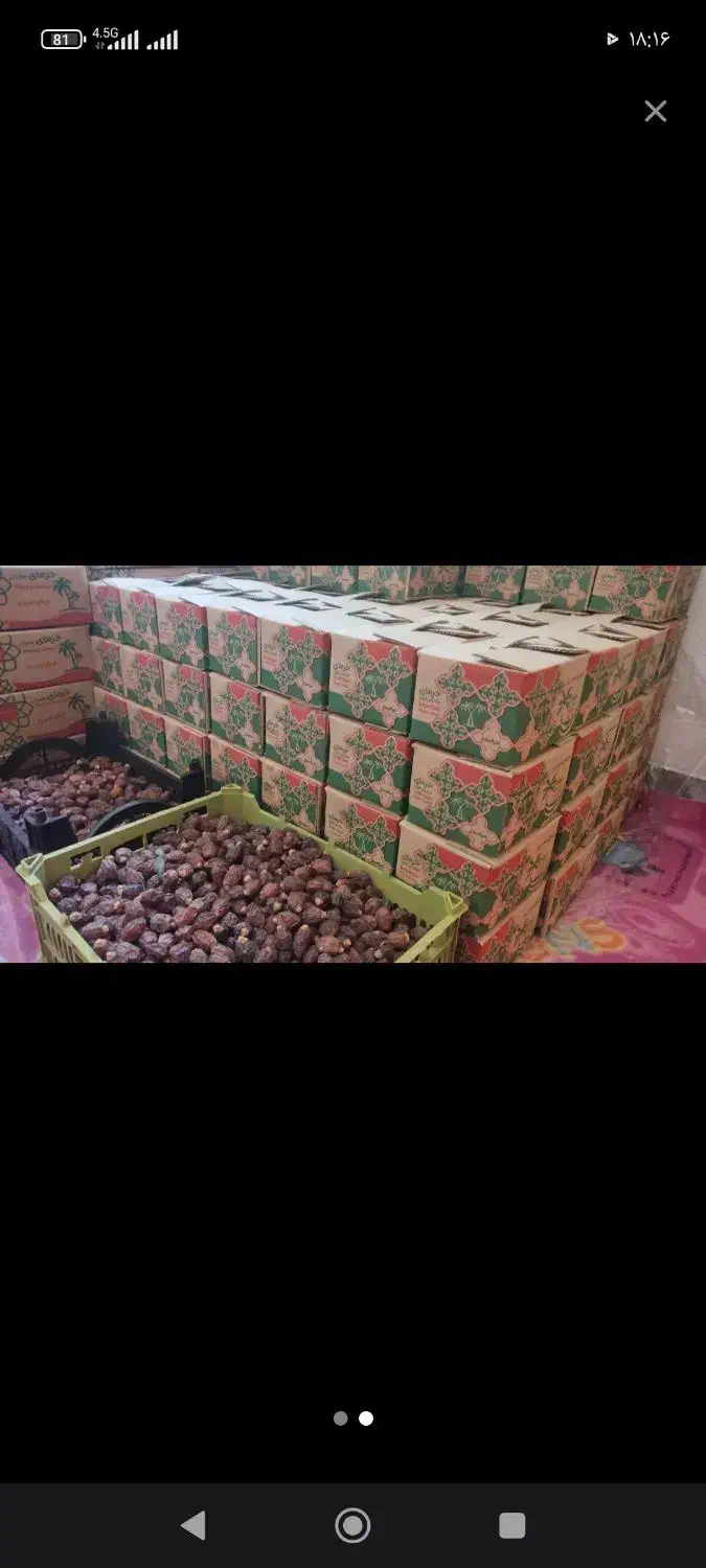 خرمای خاصویی بندر درج یک یک|خوردنی و آشامیدنی|بوکان, |دیوار