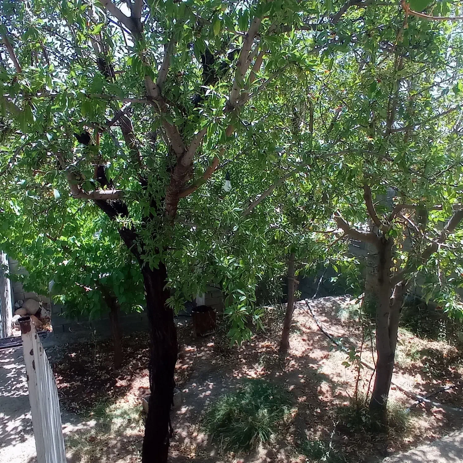 فوری 195 متر باغچه آبعلی شهرک مدرس|فروش زمین و ملک کلنگی|آبعلی, |دیوار