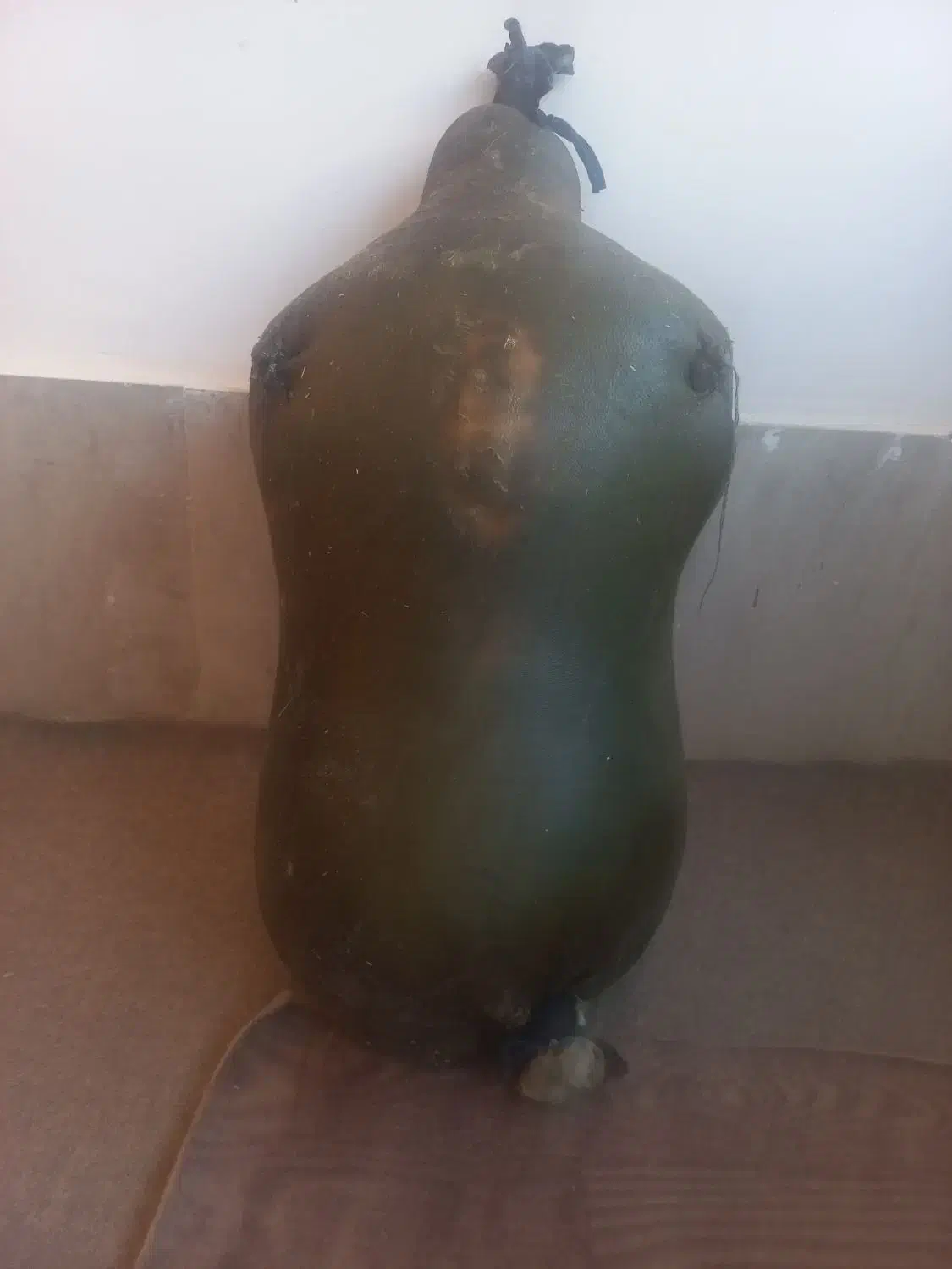 هیزه نو|ظروف نگهدارنده، پلاستیکی، یک‌بارمصرف|نورآباد, |دیوار