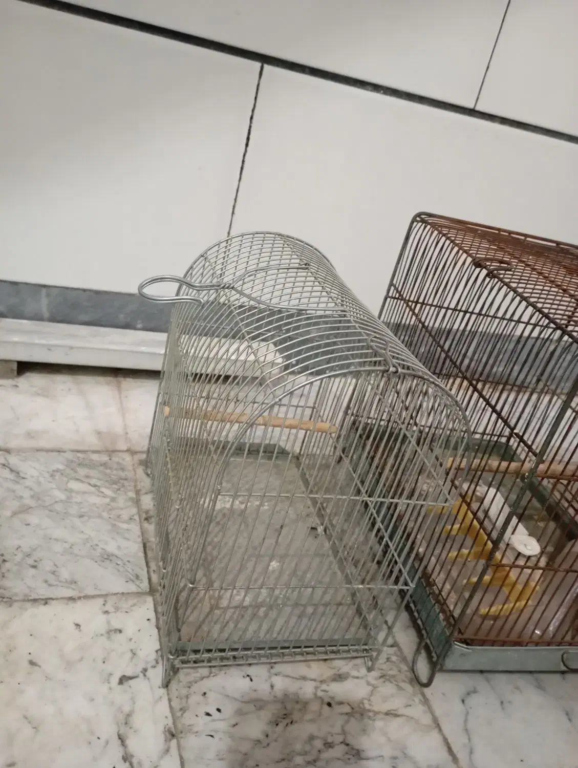 قفس سهره|لوازم جانبی حیوانات|اراک, |دیوار